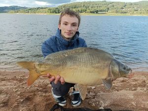 Mirror Carp