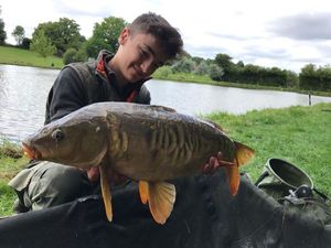 Mirror Carp
