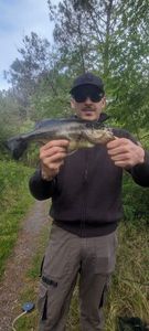 Largemouth Bass