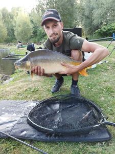Mirror Carp