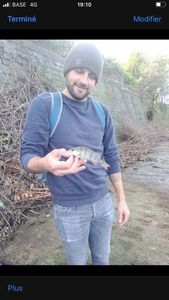 European Perch