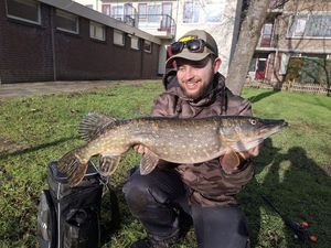 Northern Pike