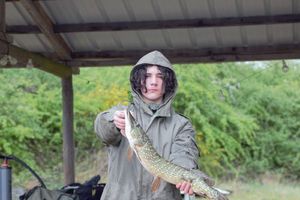 Northern Pike