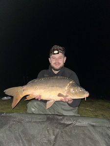 Leather Carp