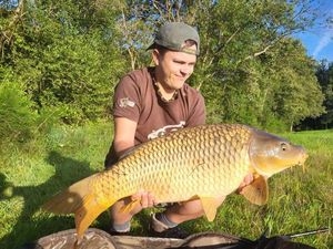 Common Carp