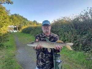 Northern Pike