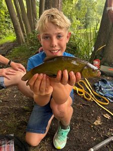 Tench