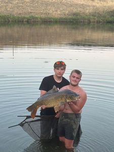 Common Carp