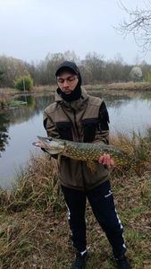 Northern Pike
