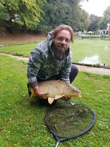 Common Carp