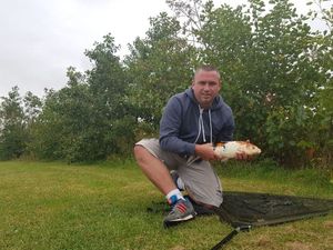 Koï Fish