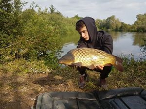 Common Carp