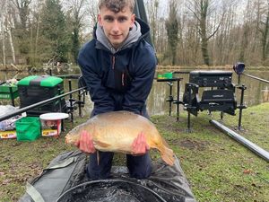 Mirror Carp