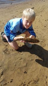 Dusky Flathead