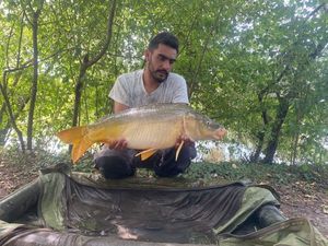 Mirror Carp