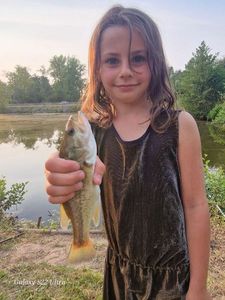 Largemouth Bass