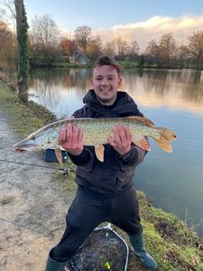 Northern Pike