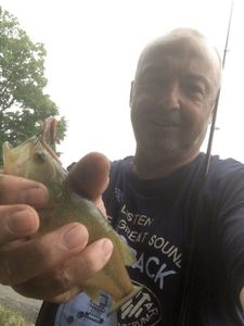 Largemouth Bass