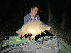 Mirror Carp