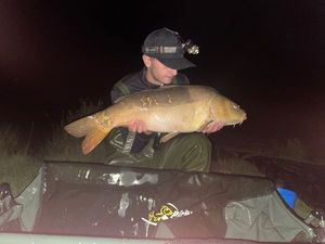 Mirror Carp