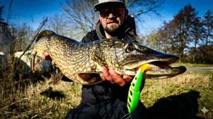 Northern Pike