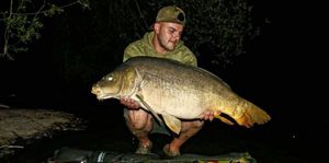Mirror Carp