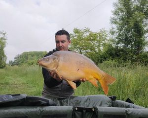 Mirror Carp
