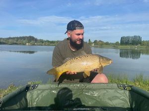 Common Carp