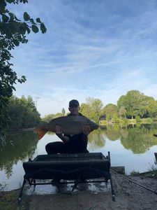 Common Carp