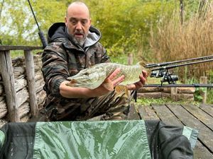 Northern Pike