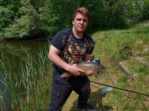 Common Carp