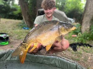 Mirror Carp