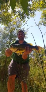 Largemouth Bass