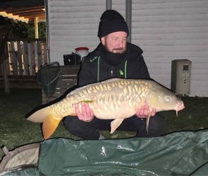 Mirror Carp