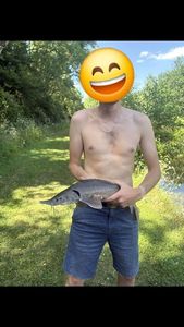 Sturgeon