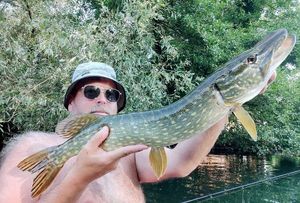Northern Pike