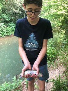 Rainbow Trout