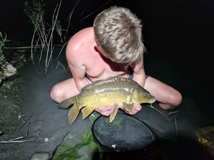 Mirror Carp