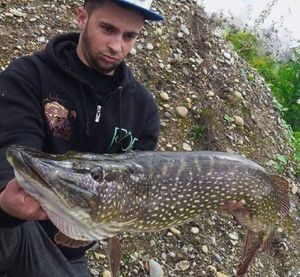 Northern Pike