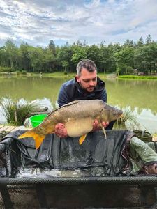 Mirror Carp
