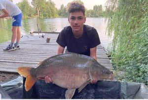 Mirror Carp