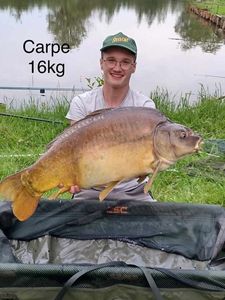 Leather Carp