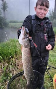 Northern Pike