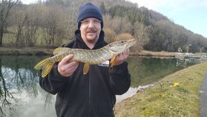 Northern Pike caught by Ludovic Pendillon
