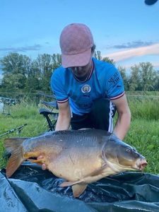 Common Carp
