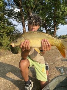 Leather Carp