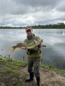 Northern Pike