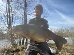 Mirror Carp