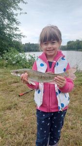 Zander