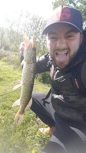 Northern Pike